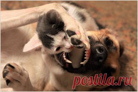 ужасы - Поиск в Google