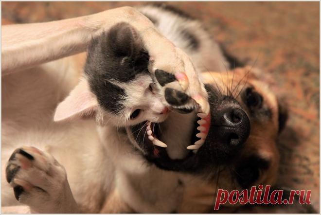 ужасы - Поиск в Google