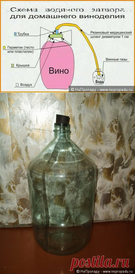 Изготовление вина в домашних условиях / Полевая кухня / НеПропаду