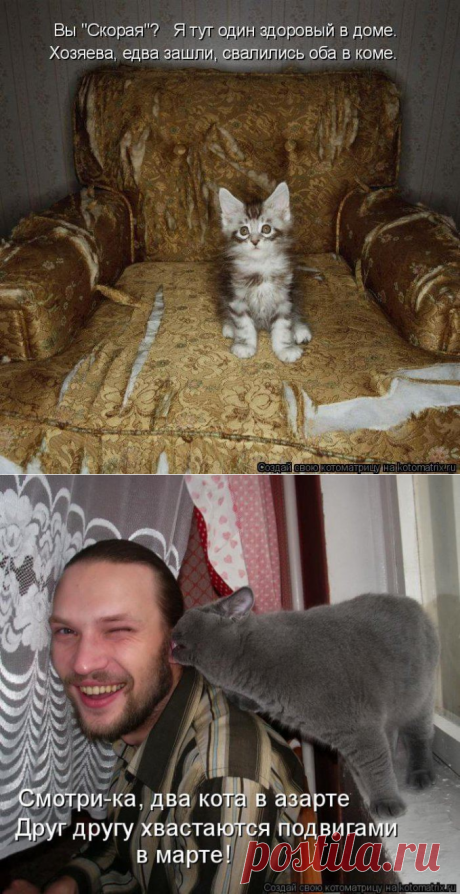 Котоматрицы великолепные, каждая с доброй улыбкой!