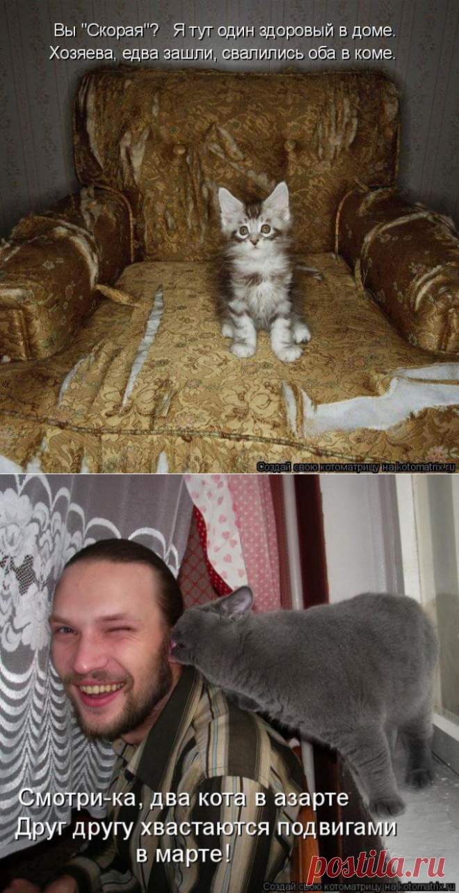 Котоматрицы великолепные, каждая с доброй улыбкой!