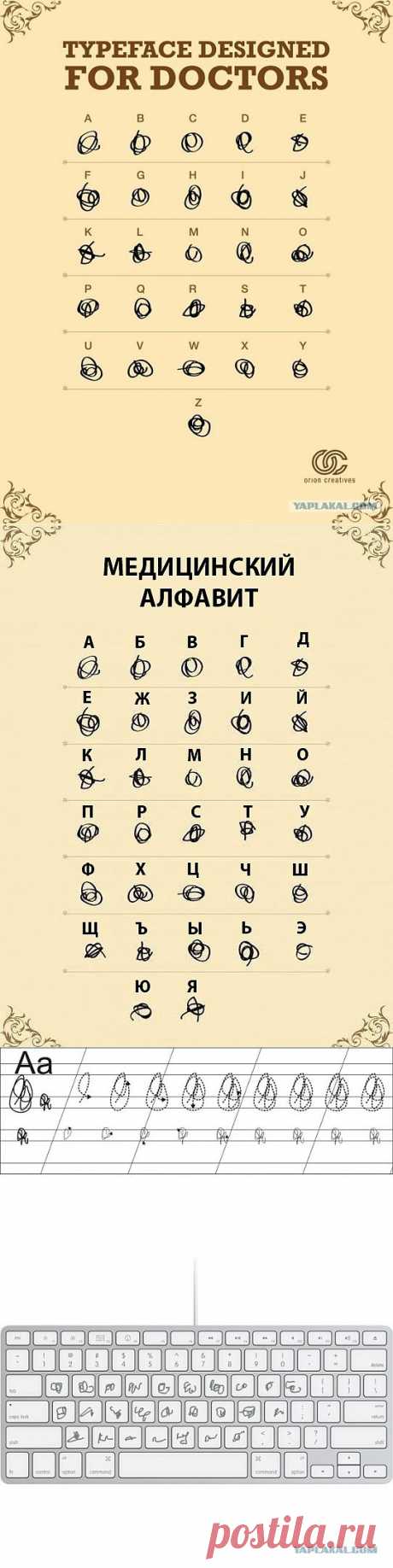 Врачебный алфавит. Человек и здоровье. Познавательные статьи и необычные фотографии.