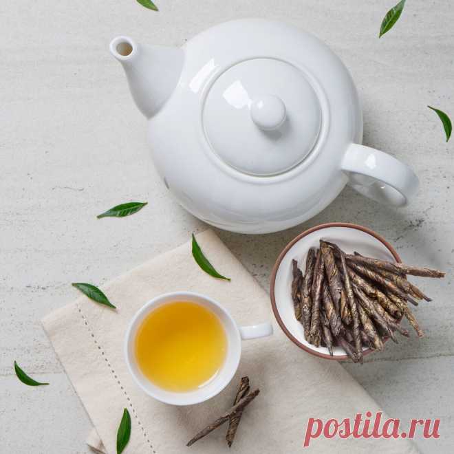Кудин: китайский родственник мате с горьким вкусом и мощным иммунным эффектом | Журнал 