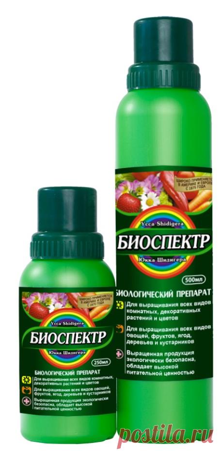 Биопрепарат «БИОСПЕКТР» - активатор процесса роста и развития растений