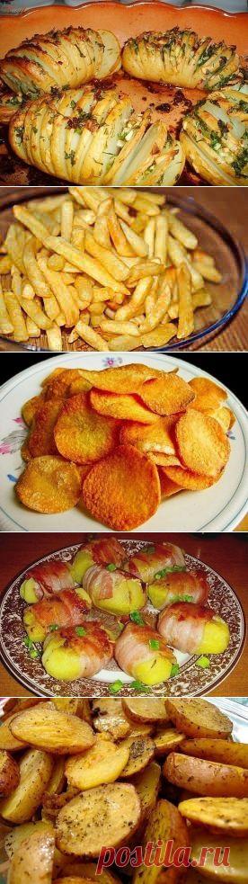 10 вкусных рецептов из картофеля » В сети – себя просвети!