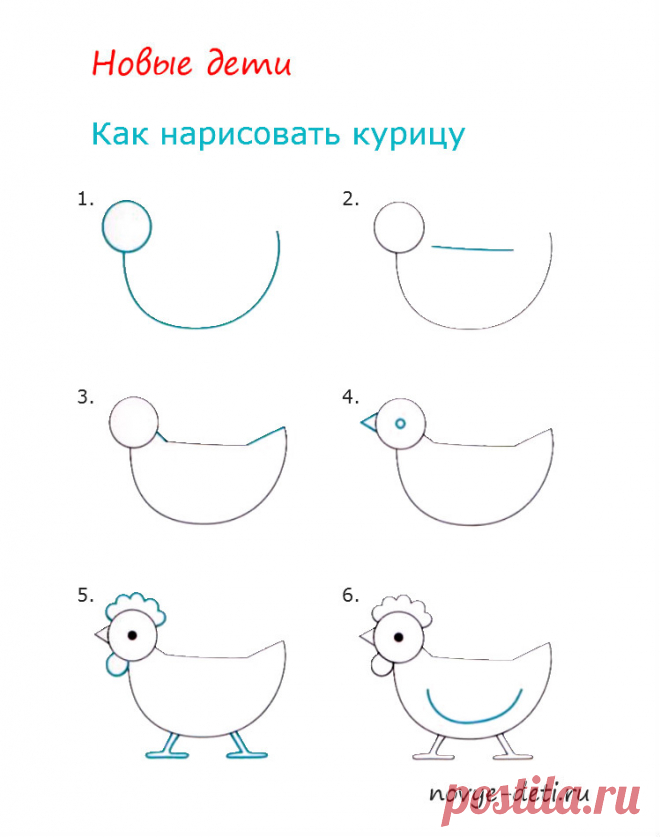 Как нарисовать курицу и цыплёнка поэтапно