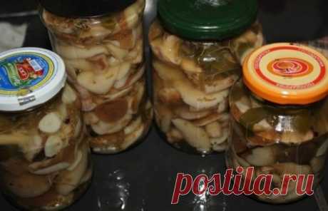 Маринованные маслята: самый вкусный рецепт на зиму