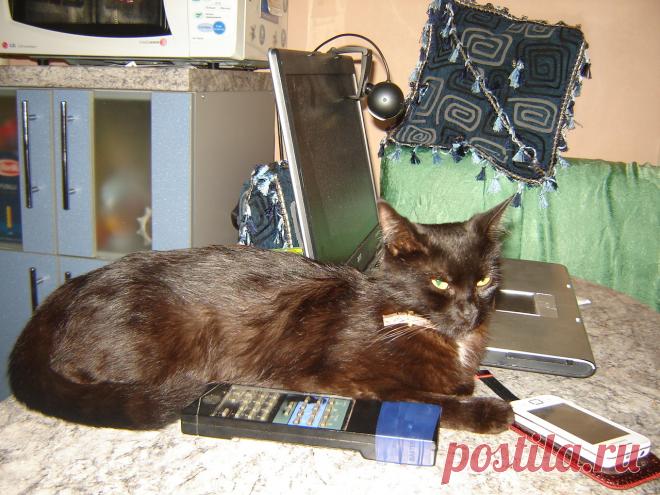 Послеобеденный отдых!