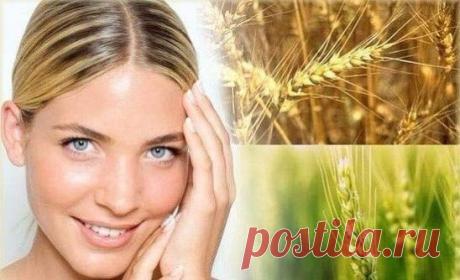 Рецепт лучшей маски для лица:
Нам понадобятся:
 2 столовые ложки мелко измельченных овсяных хлопьев
 1 чайная ложка пищевой соды
 1 столовая ложка лимонного сока (его можно заменить кефиром или молоком, тогда маска будет более мягкой, но менее эффективной)
 совсем чуть-чуть кефира или молока - это для того, чтобы получилась консистенция сметаны и маску было легко нанести.
Нанести на очищенное лицо на 10 минут, потом смыть и ходить красивой!
Она избавляет от черных точек, очищает поры и немног