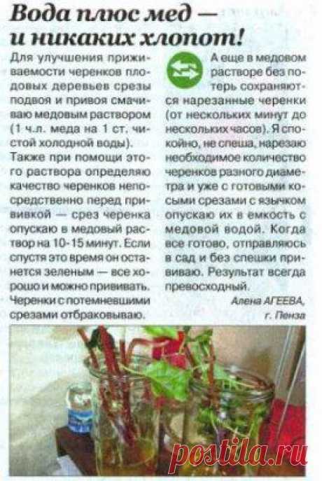 (49) Одноклассники