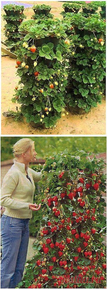 Как соорудить вертикальную грядку | Самоделкино