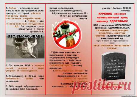 санбюллетень о вреде курения: 447 изображений найдено в Яндекс.Картинках