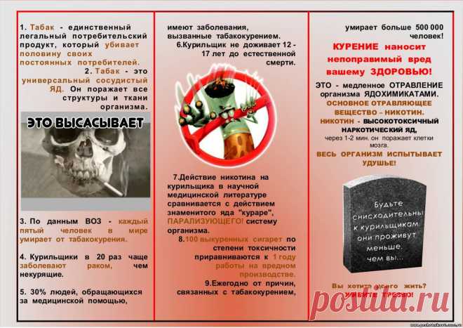 санбюллетень о вреде курения: 447 изображений найдено в Яндекс.Картинках