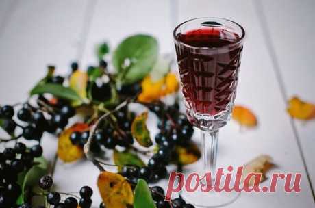 Мой фирменный рецепт настойки с добавлением черноплодки | Блог Палыча | Яндекс Дзен