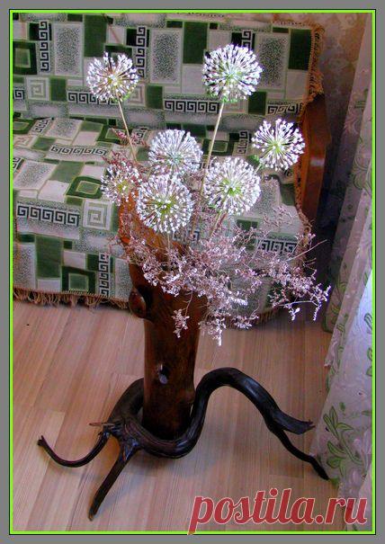 Сухоцветы | Самоделкино