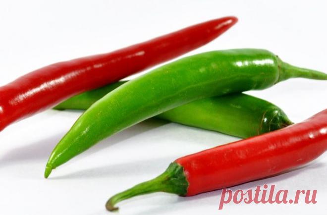 10 естественных способов повысить иммунитет