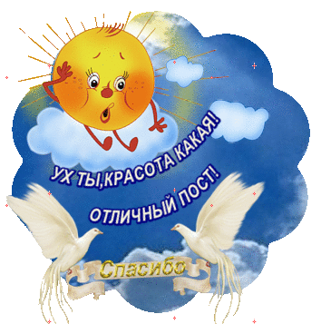 ИДЕИ: ЧТО МОЖНО СДЕЛАТЬ ИЗ ШИН.