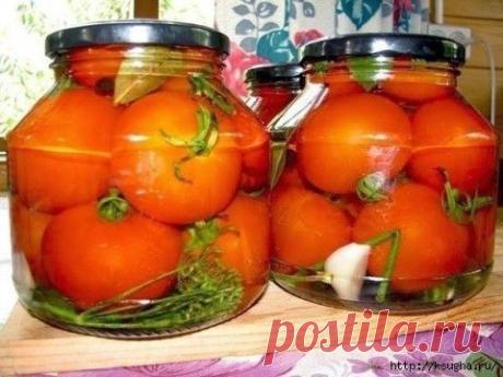 116020141_large_big__1_.jpg (480×360)