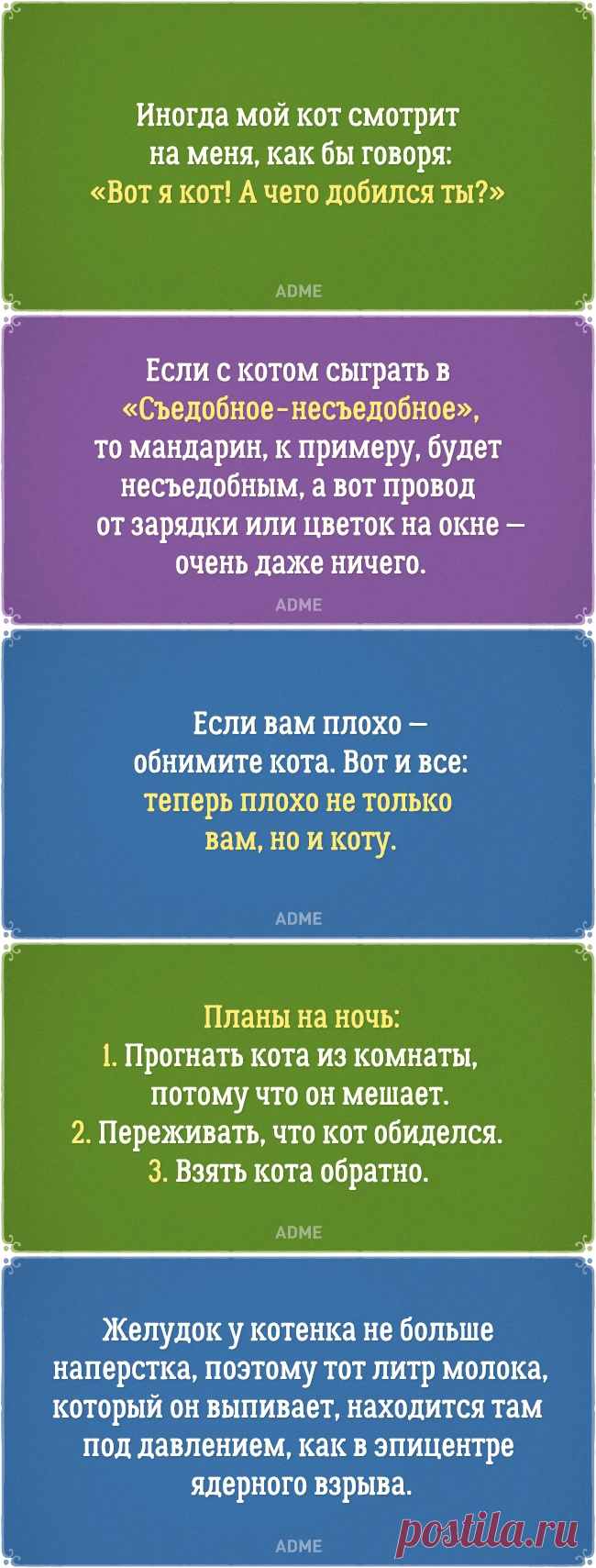 20 открыток о нелегкой жизни котов и их владельцев