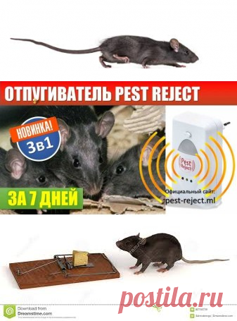 Pest Reject – специализированное устройство, которое заставляет грызунов, комаров, тараканов, мух, муравьёв и всевозможных жуков покидать ваше жилище. Особые электромагнитные импульсы, генерируемые Пэст Реджект, распространяются по проводам. Это не убивает живых существ, а воздействует на их ЦНС.