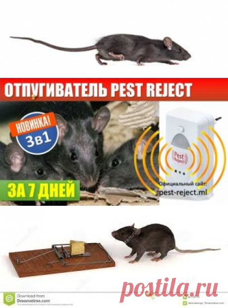 Pest Reject – специализированное устройство, которое заставляет грызунов, комаров, тараканов, мух, муравьёв и всевозможных жуков покидать ваше жилище. Особые электромагнитные импульсы, генерируемые Пэст Реджект, распространяются по проводам. Это не убивает живых существ, а воздействует на их ЦНС.