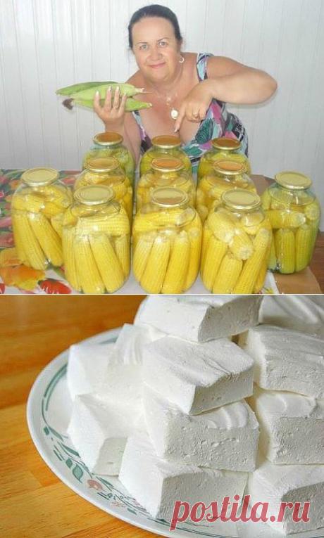 (51) Одноклассники