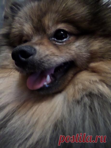 мне 11 месяцев