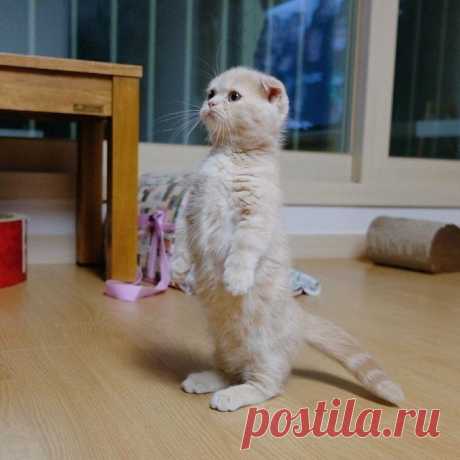 Строго на двух