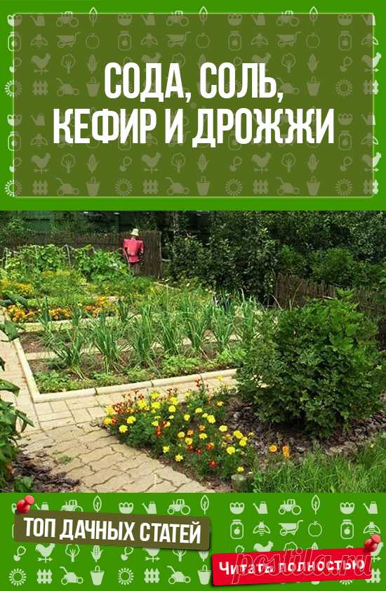 Полезно, интересно! - СОДА, СОЛЬ, КЕФИР И ДРОЖЖИ ПРИГОДЯТСЯ В ОГОРОДЕ!!!