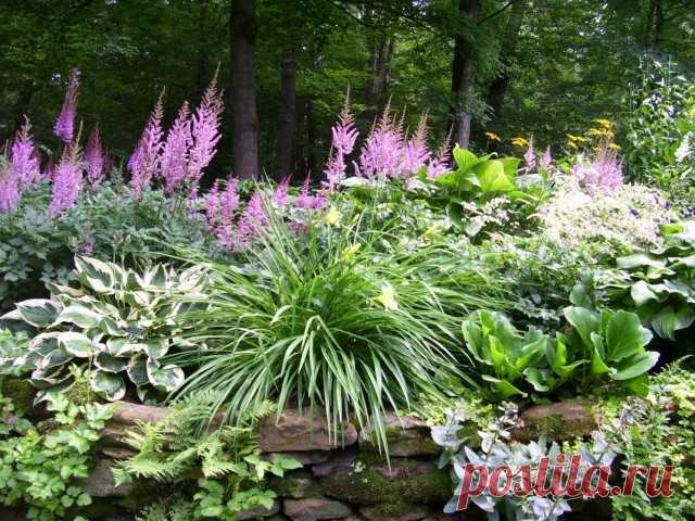 Строгие цветники в тени. Регулярные цветники в притенённом месте.