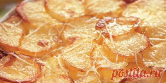 Картофель 