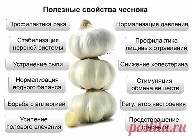 Полезные свойства чеснока