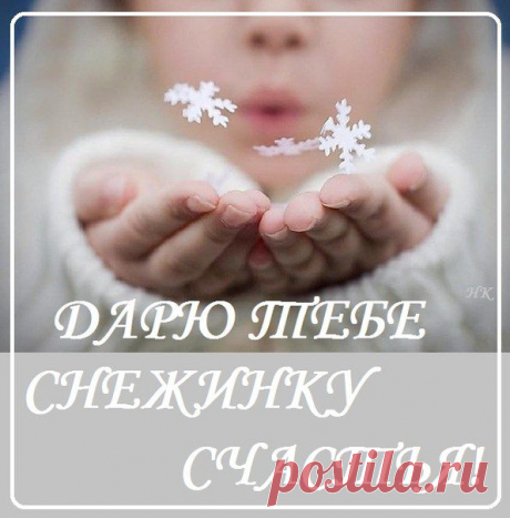 cDNN5W2iwLY.jpg (595×604)