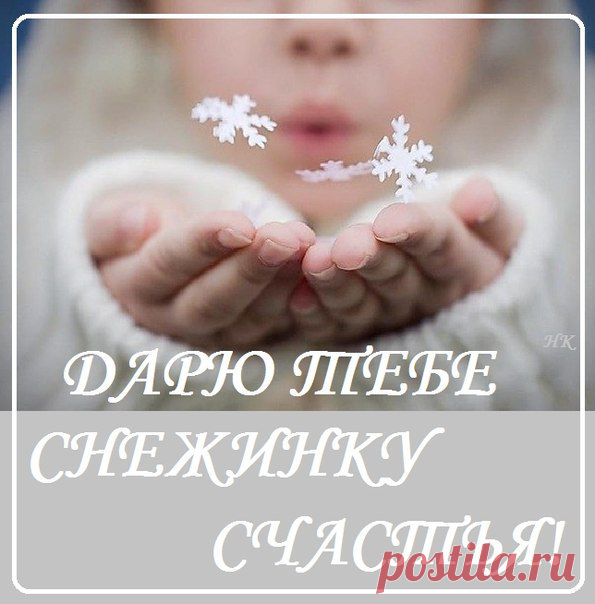 cDNN5W2iwLY.jpg (595×604)