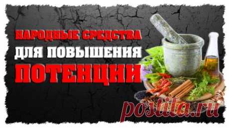 - Потенция и эрекция - Как повысить потенцию народными средствами -