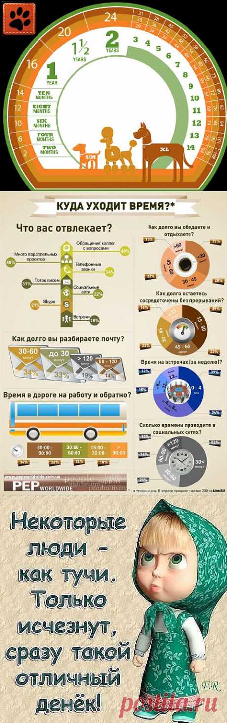 Это интересно | Записи в рубрике Это интересно | На заметку