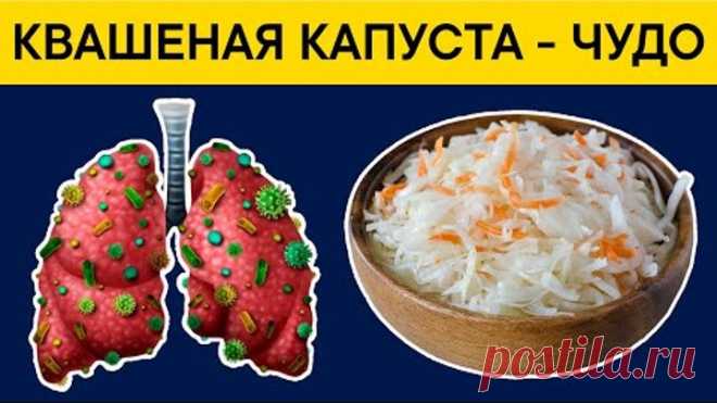Раньше знали о пользе КВАШЕНОЙ КАПУСТЫ. Она спасает даже от...