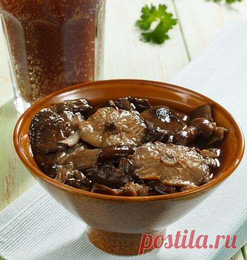 Соленые опята в квасе