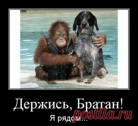 Взаимные симпатии