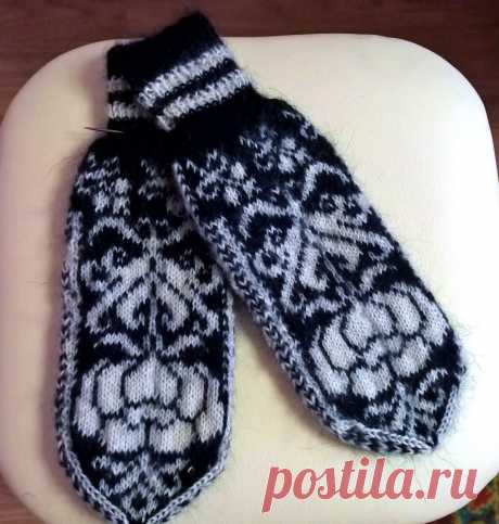 (48) Одноклассники