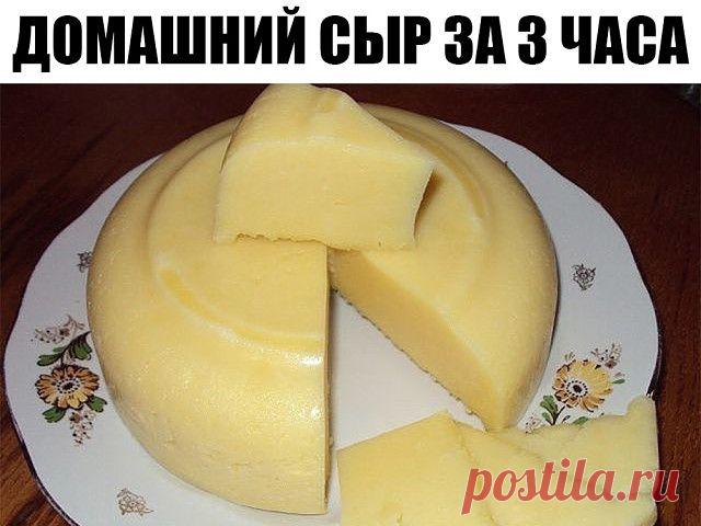 Домашний сыр за 3 часа! Невероятно вкусный сыр, который содержит только натуральные продукты и ничего лишнего!
