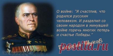 Профессионалы.ru