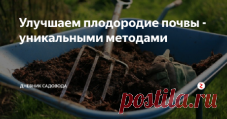 Улучшаем плодородие почвы - уникальными методами Сейчас середина осени, а это самое благоприятное время для улучшения плодородия и структуры почвы, именно сейчас эффект от удобрений и почвоулучшателей, будет максимально высоким.
От того какой выбор в удобрениях вы сделаете, будет зависеть будущее многих посаженных растений.
Сейчас я расскажу о самых лучших удобрениях для почвы:
Навоз