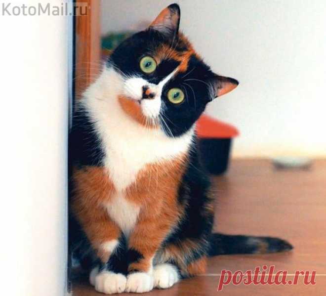 Антидепрессант - принимать ежедневно