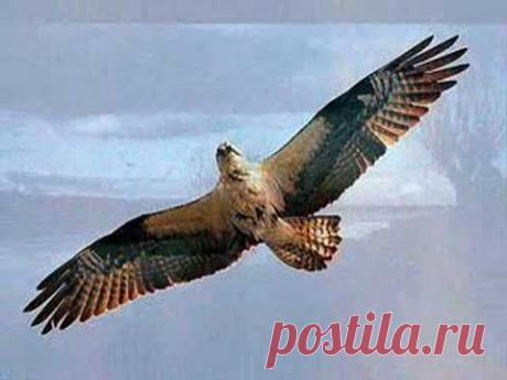 Karunesh-Endless skies