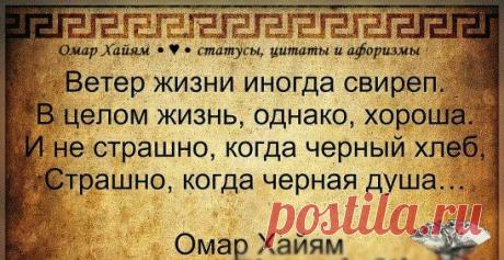 Ветер жизни иногда свиреп… В целом жизнь, однако, хороша… И не страшно, когда черный хлеб, Страшно, когда черная душа…