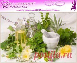 ЦЕЛЕБНЫЕ ТРАВЫ КАК СРЕДСТВА ЛЕЧЕНИЯ ПОЗВОНОЧНИКА | ОРАНЖЕРЕЯ КРАСОТЫ / рецепты молодости, здоровья, долголетия/