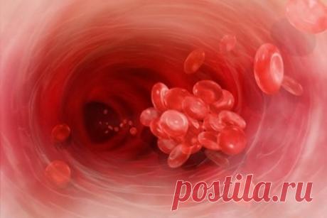 Кардиориск тромбофилия. Генетические маркеры тромбофилии. Анализы для диагностики приобретенной тромбофилии