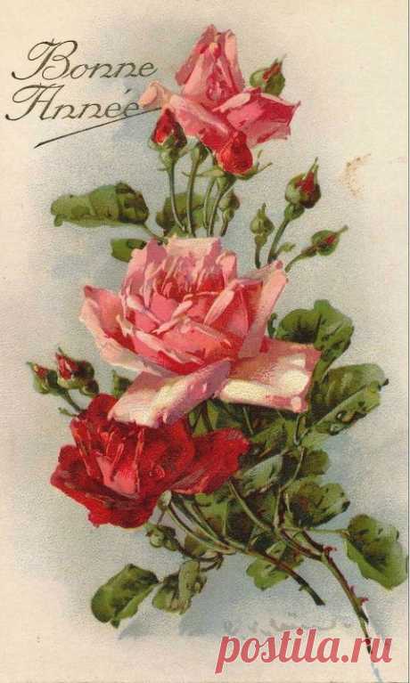 (723) C. Klein | Vintage Cards, Tags, Pictures