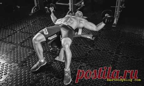 Разведения гантелей лежа. Лекарство от хилой груди | bestbodyblog.com